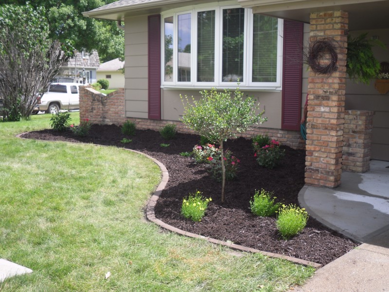 mulch bed with plant installation